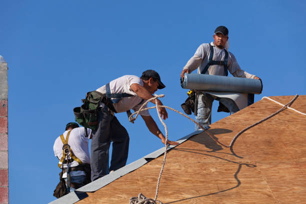 Best Residential Roofing Contractor  in Hartley, IA
