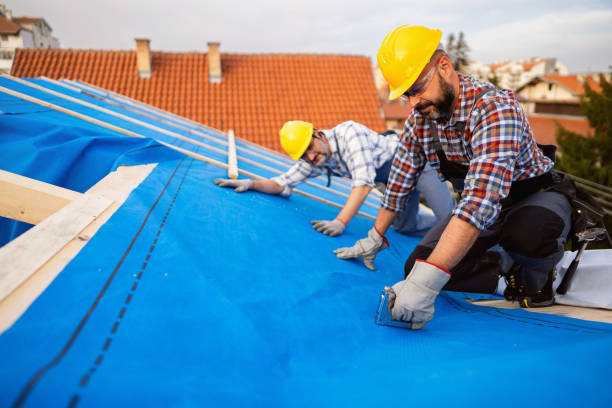 Best Metal Roofing Contractor  in Hartley, IA
